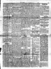 Voice of St. Lucia Thursday 25 February 1904 Page 5