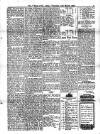 Voice of St. Lucia Thursday 10 March 1904 Page 9