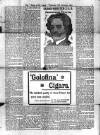 Voice of St. Lucia Thursday 03 January 1907 Page 3