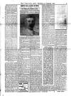 Voice of St. Lucia Saturday 05 February 1910 Page 3