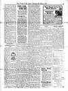 Voice of St. Lucia Saturday 08 March 1913 Page 3