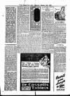 Voice of St. Lucia Saturday 27 January 1917 Page 5