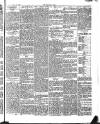 Brockley News, New Cross and Hatcham Review Friday 24 August 1894 Page 3