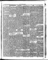 Brockley News, New Cross and Hatcham Review Friday 12 October 1894 Page 3