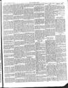 Brockley News, New Cross and Hatcham Review Friday 13 September 1895 Page 5