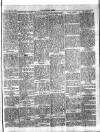 Brockley News, New Cross and Hatcham Review Friday 23 May 1902 Page 5