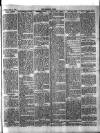 Brockley News, New Cross and Hatcham Review Friday 06 June 1902 Page 7