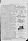 Bexhill-on-Sea Chronicle Saturday 21 December 1889 Page 3