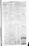 Bexhill-on-Sea Chronicle Saturday 01 March 1913 Page 4