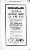 Bexhill-on-Sea Chronicle Saturday 20 December 1913 Page 19