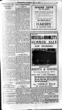 Bexhill-on-Sea Chronicle Saturday 10 July 1915 Page 3
