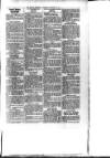 Bexhill-on-Sea Chronicle Saturday 22 December 1928 Page 3