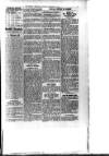 Bexhill-on-Sea Chronicle Saturday 22 December 1928 Page 9