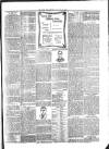 Hucknall Morning Star and Advertiser Friday 22 March 1895 Page 3