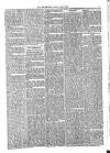 Jarrow Guardian and Tyneside Reporter Saturday 13 January 1872 Page 5