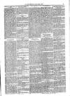 Jarrow Guardian and Tyneside Reporter Saturday 20 April 1872 Page 3