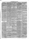 Jarrow Guardian and Tyneside Reporter Saturday 04 May 1872 Page 3