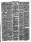 Jarrow Guardian and Tyneside Reporter Saturday 08 June 1872 Page 3