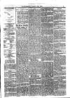 Jarrow Guardian and Tyneside Reporter Saturday 14 December 1872 Page 5