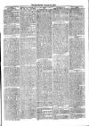 Jarrow Guardian and Tyneside Reporter Saturday 01 February 1873 Page 3