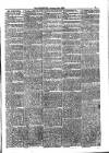 Jarrow Guardian and Tyneside Reporter Saturday 10 January 1874 Page 3