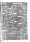 Jarrow Guardian and Tyneside Reporter Saturday 17 January 1874 Page 3