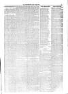 Jarrow Guardian and Tyneside Reporter Saturday 13 June 1874 Page 3