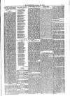 Jarrow Guardian and Tyneside Reporter Saturday 07 November 1874 Page 3