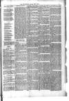 Jarrow Guardian and Tyneside Reporter Saturday 30 January 1875 Page 3