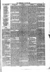 Jarrow Guardian and Tyneside Reporter Saturday 19 June 1875 Page 3