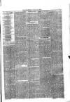 Jarrow Guardian and Tyneside Reporter Saturday 02 October 1875 Page 3