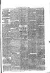 Jarrow Guardian and Tyneside Reporter Saturday 02 October 1875 Page 5
