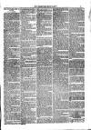 Jarrow Guardian and Tyneside Reporter Saturday 03 March 1877 Page 3