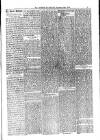 Jarrow Guardian and Tyneside Reporter Friday 06 December 1878 Page 5