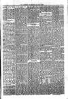 Jarrow Guardian and Tyneside Reporter Friday 23 July 1880 Page 5