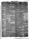 Lynn News & County Press Saturday 22 May 1869 Page 7