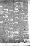 Lynn News & County Press Saturday 20 January 1872 Page 5