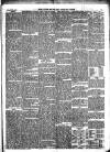 Lynn News & County Press Saturday 24 February 1872 Page 7