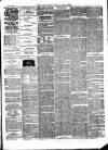 Lynn News & County Press Saturday 06 April 1878 Page 3