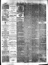 Lynn News & County Press Saturday 08 March 1879 Page 3