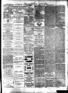 Lynn News & County Press Saturday 22 March 1879 Page 3