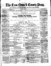 Lynn News & County Press Saturday 08 January 1881 Page 1