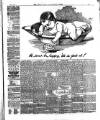 Lynn News & County Press Saturday 02 March 1889 Page 3