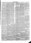 Leek Times Saturday 13 June 1891 Page 4