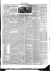 Leek Times Saturday 20 June 1891 Page 5