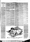 Leek Times Saturday 21 November 1891 Page 6