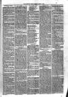 Sydenham Times Tuesday 15 April 1862 Page 5