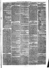 Sydenham Times Tuesday 08 July 1862 Page 7