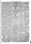 Sydenham Times Tuesday 02 September 1862 Page 5