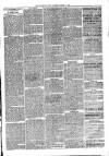 Sydenham Times Tuesday 10 March 1863 Page 2